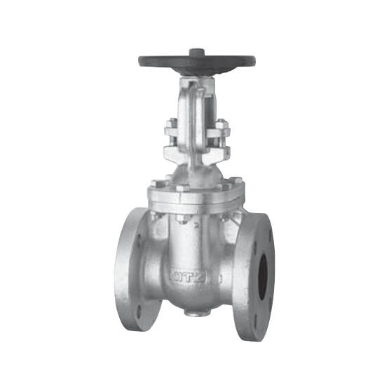 Gate Valve