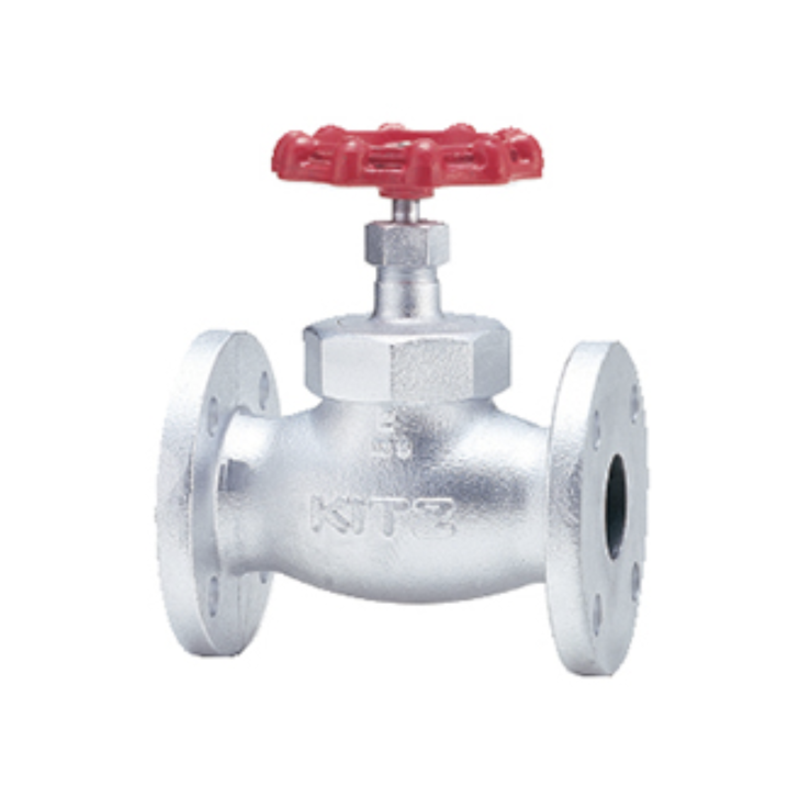 Globe Valve